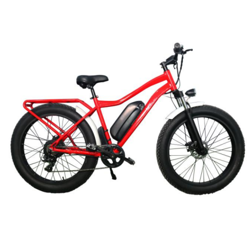 Wide Tyre Aluminium frame electric bicycle for adult